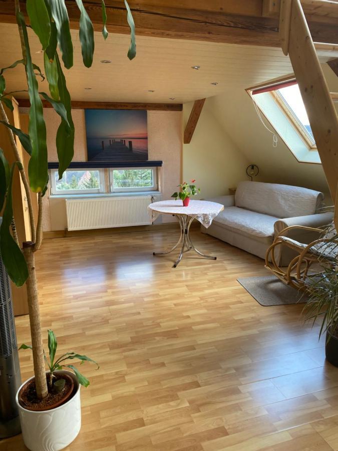 Helles Und Charmantes Loft Mit Herrlichem Blick Дрезден Екстер'єр фото