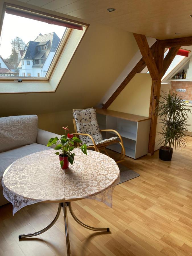 Helles Und Charmantes Loft Mit Herrlichem Blick Дрезден Екстер'єр фото