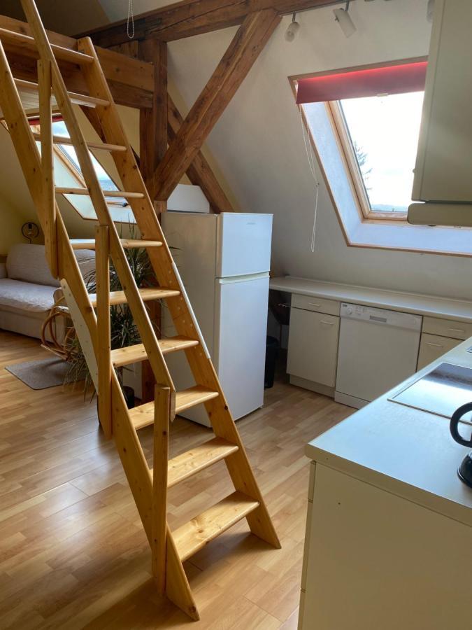 Helles Und Charmantes Loft Mit Herrlichem Blick Дрезден Екстер'єр фото
