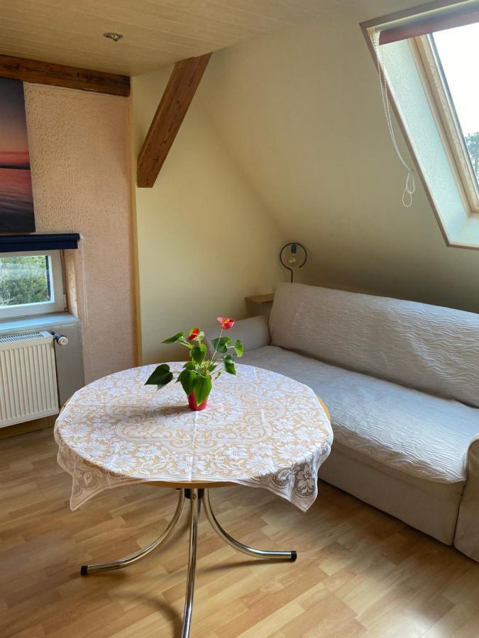 Helles Und Charmantes Loft Mit Herrlichem Blick Дрезден Екстер'єр фото