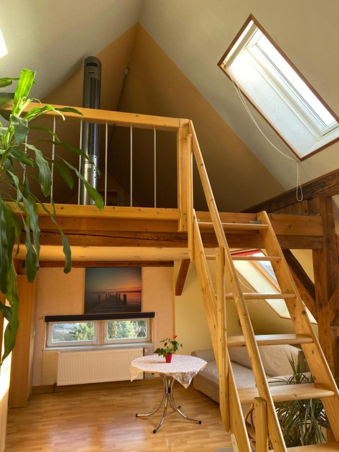 Helles Und Charmantes Loft Mit Herrlichem Blick Дрезден Екстер'єр фото
