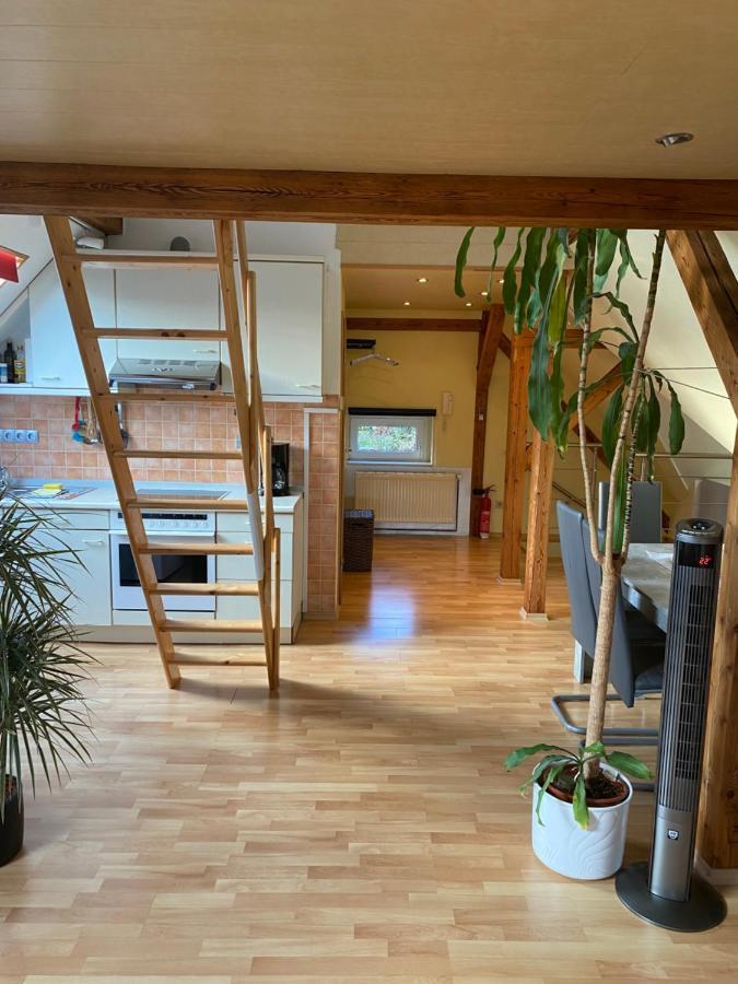 Helles Und Charmantes Loft Mit Herrlichem Blick Дрезден Екстер'єр фото